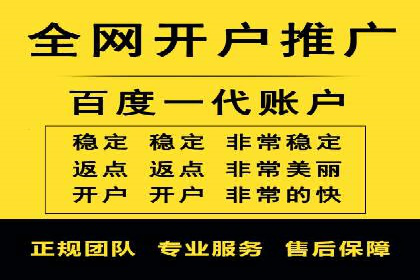 SEM外包服务应用案例分析
