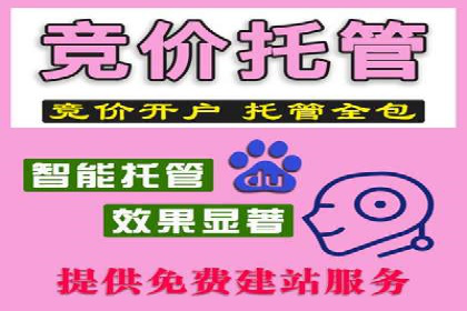 案例分析：SEM服务优化效果显著